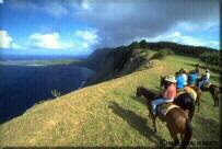 Photo - Trail riders overlooking Kalaupapa